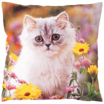 Forbyt Obliečka na vankúšik Mačiatko na lúke, 40 x 40 cm