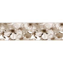 AG Art Samolepiaca bordúra Jabloňový kvet, 500 x 14 cm