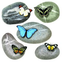 Samolepiaca dekorácia Butterflies on Stones, 30 x 30 cm